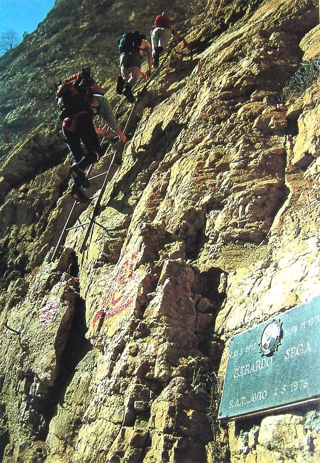 Albergo Alpino Da Tullio 阿维奥 外观 照片